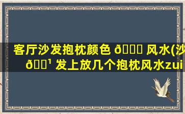 客厅沙发抱枕颜色 🐋 风水(沙 🌹 发上放几个抱枕风水zui
好)